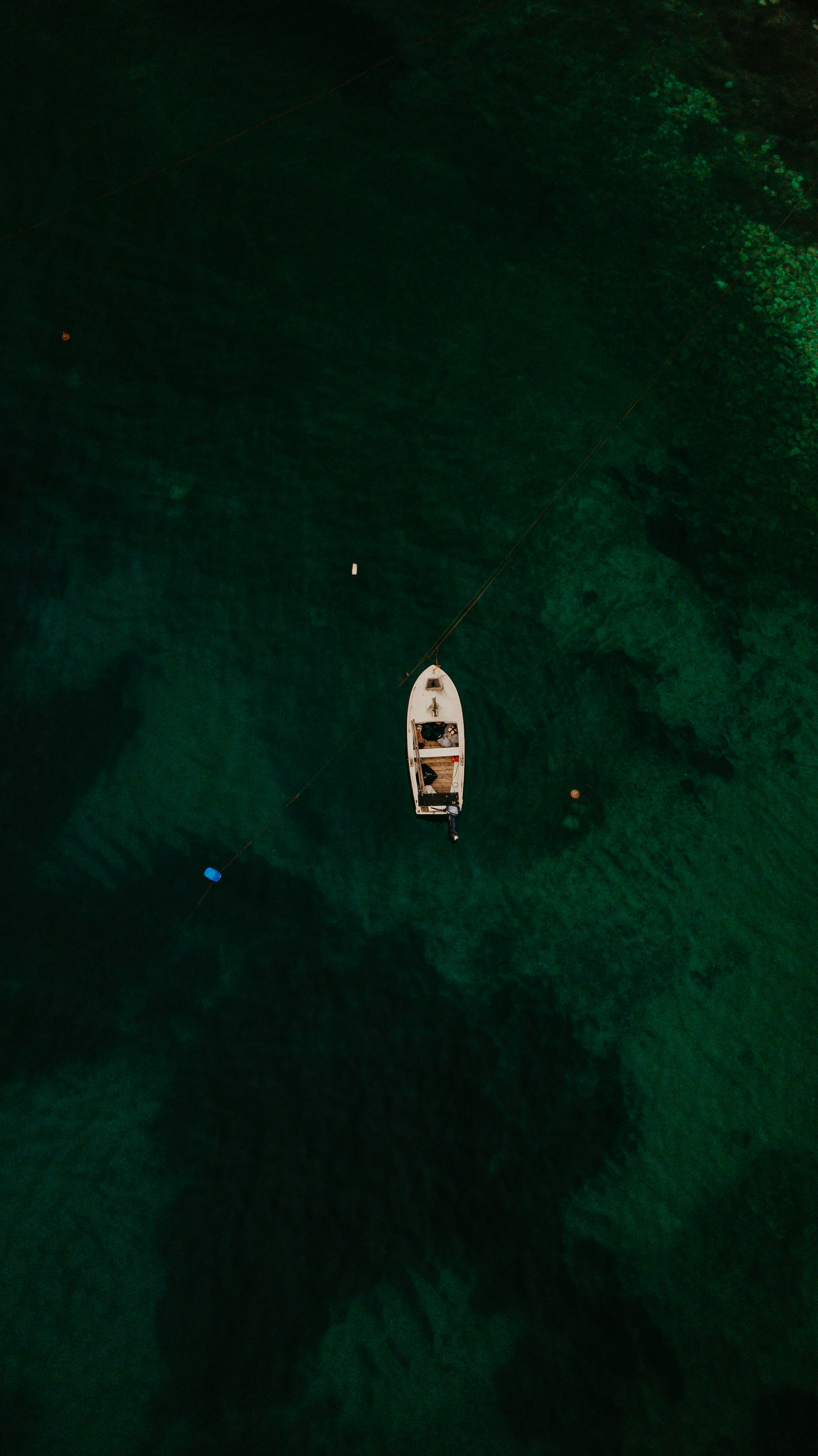 white and blue boat on body of water during daytime