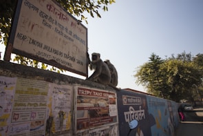 A monkey sits atop a wall covered with various advertisements and posters. Nearby, there is a sign displaying information about a location in both Hindi and English. Trees with green leaves are visible in the background, and a clear blue sky is overhead.