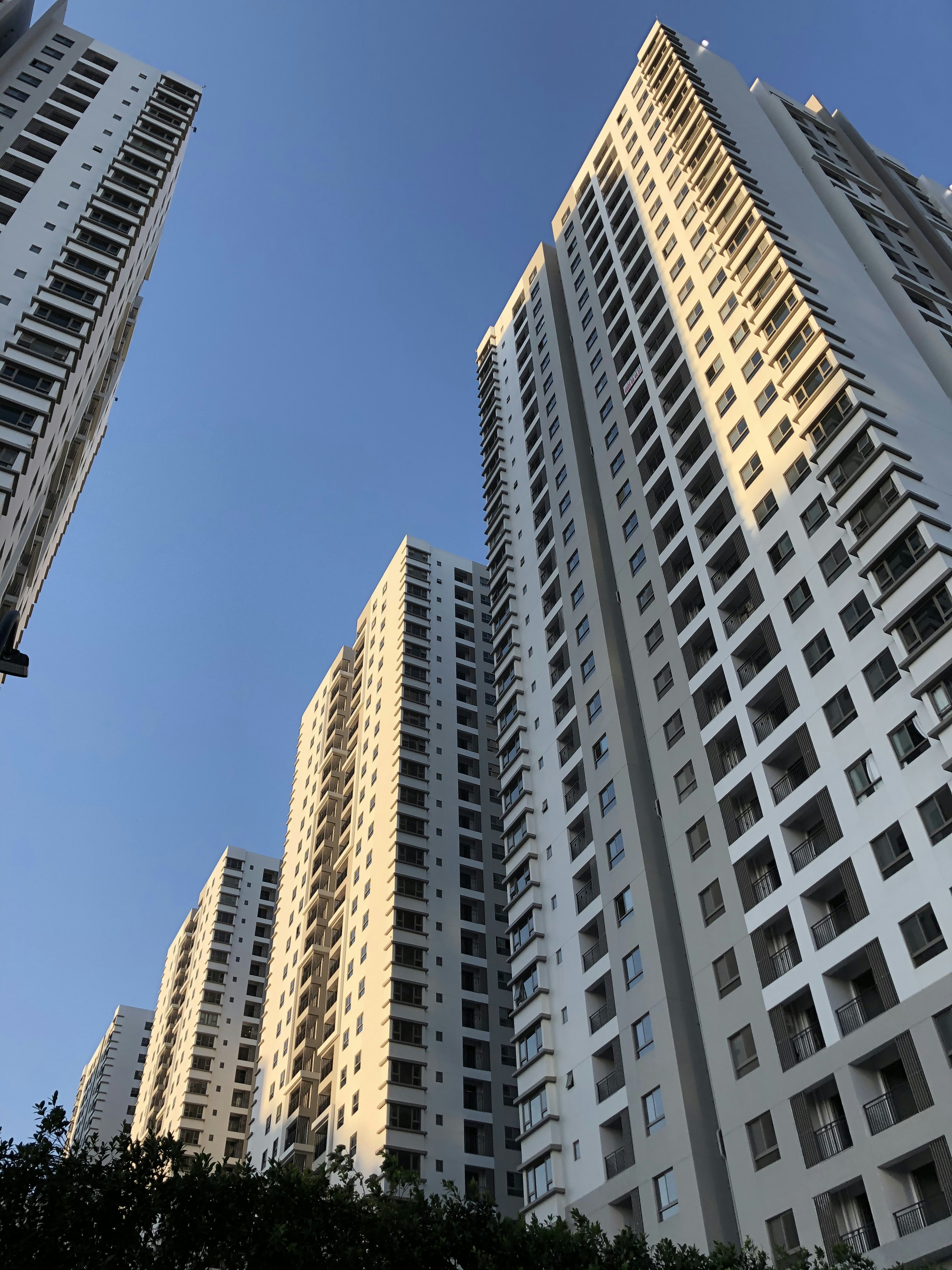 Photo by lamnguyentorres