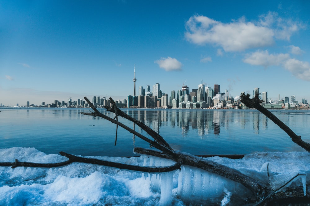 body of water near city buildings during daytime