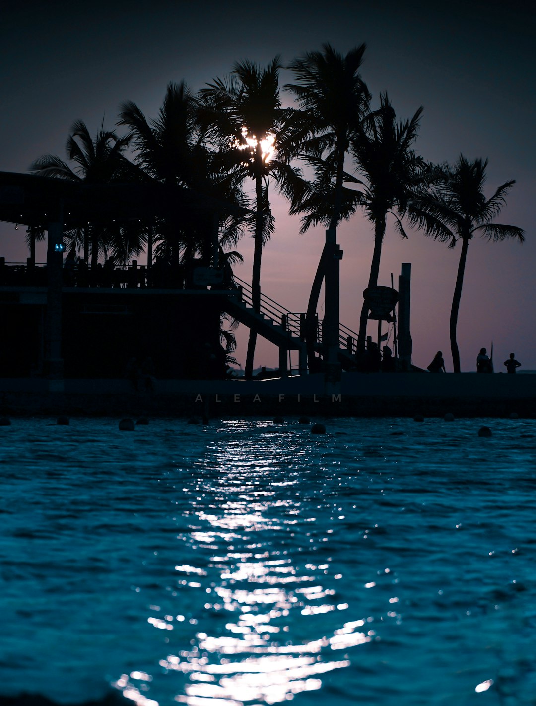 silhouette of palm trees near body of water during sunset