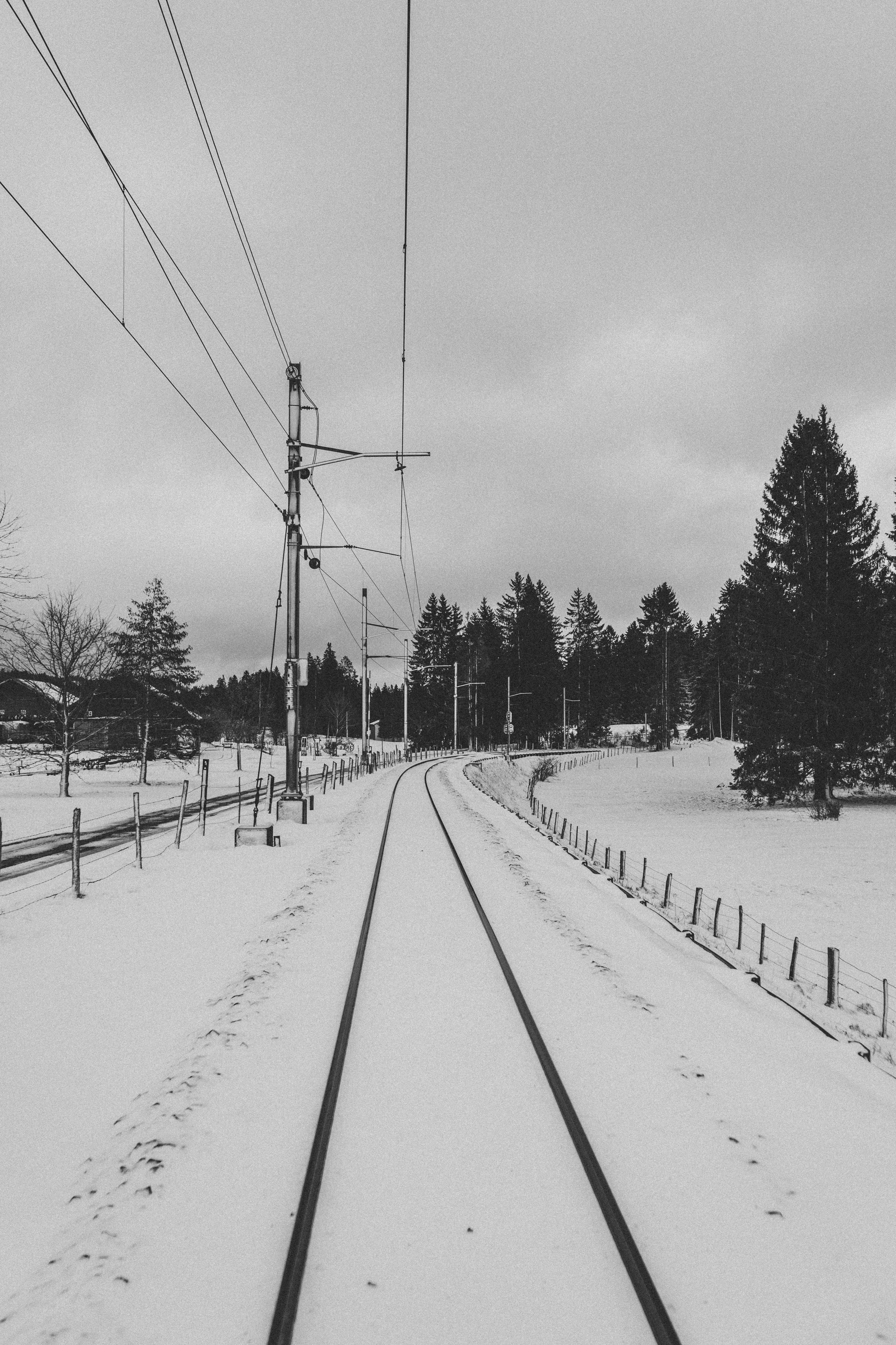 Photo by virussinside