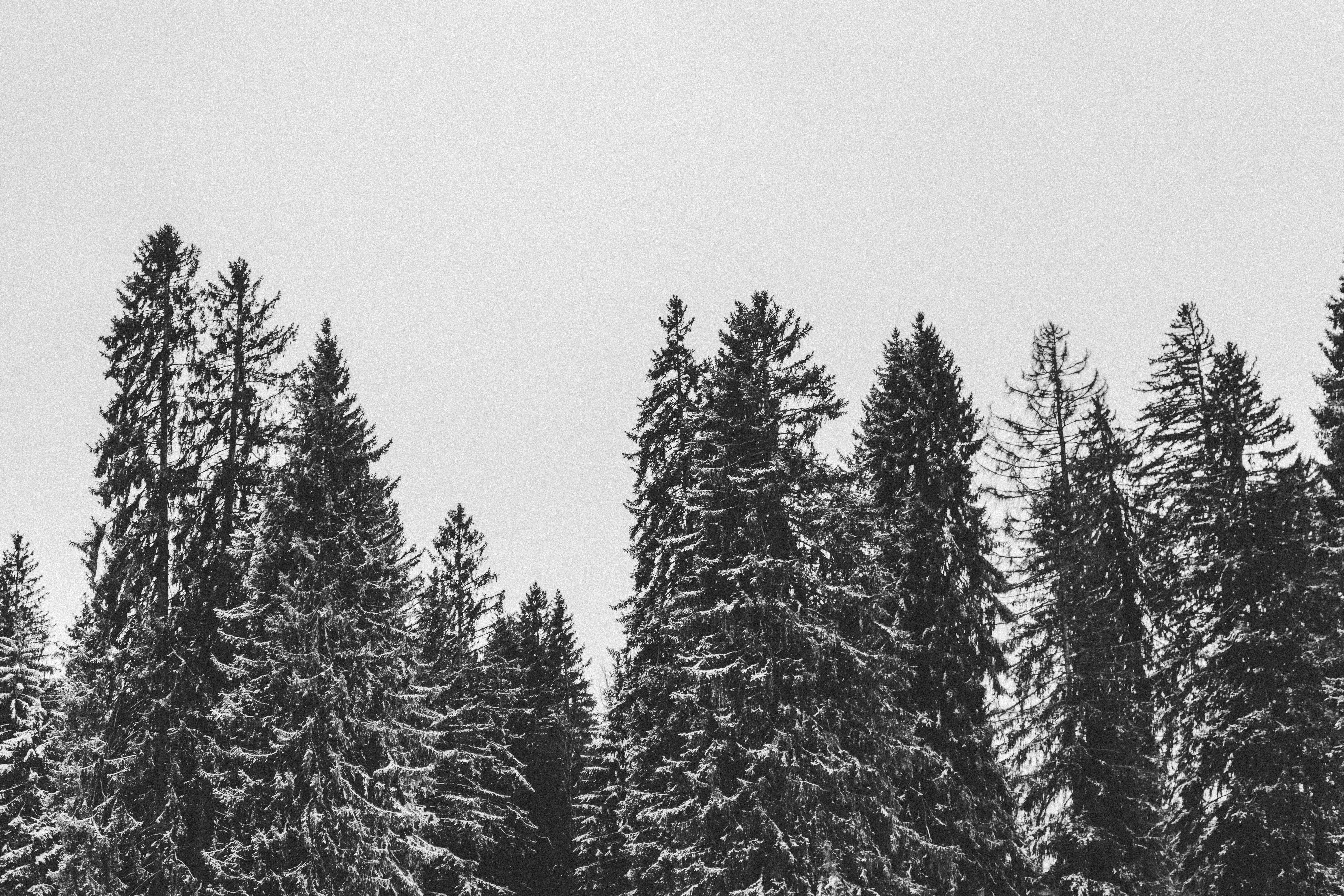 Photo by virussinside