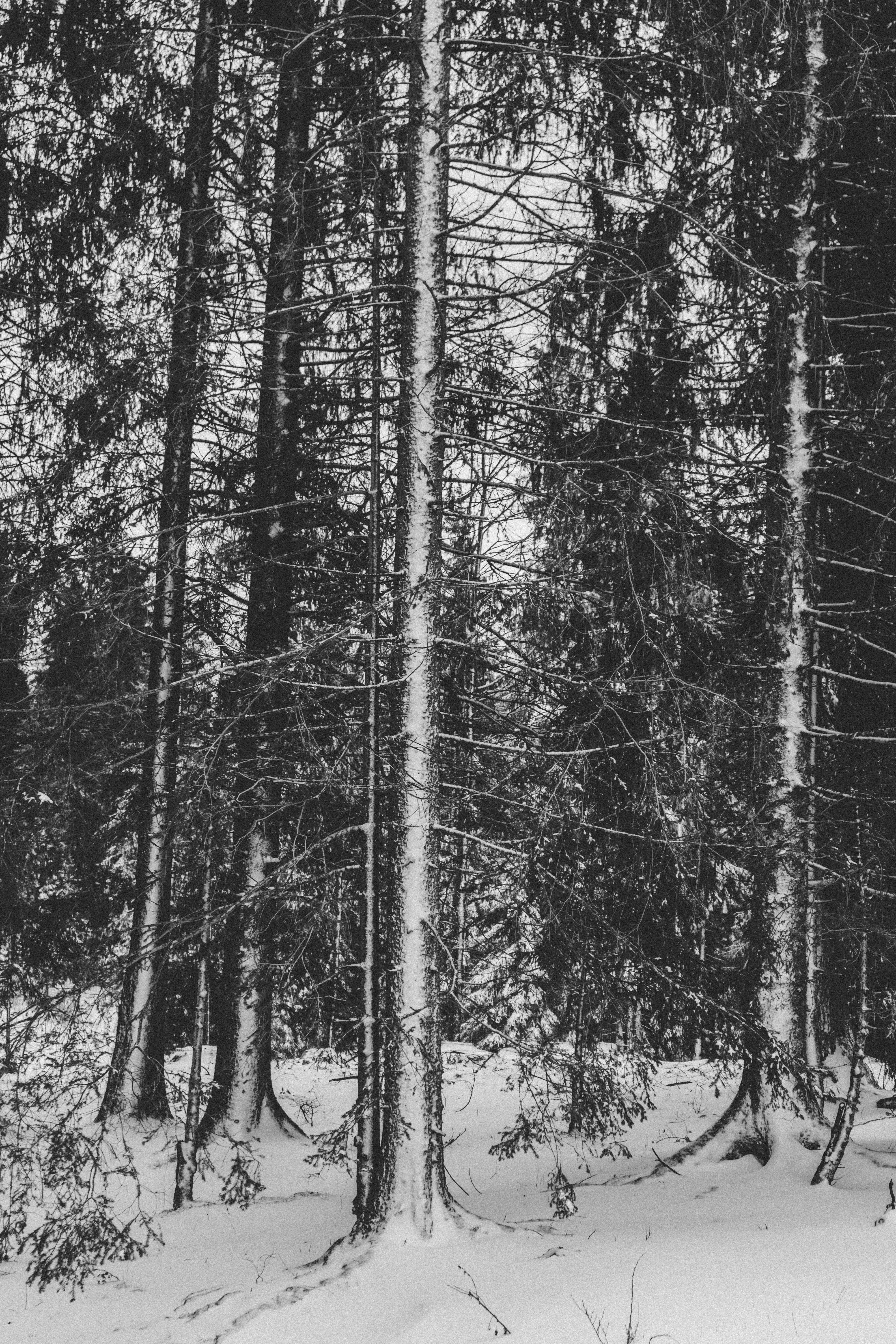 Photo by virussinside