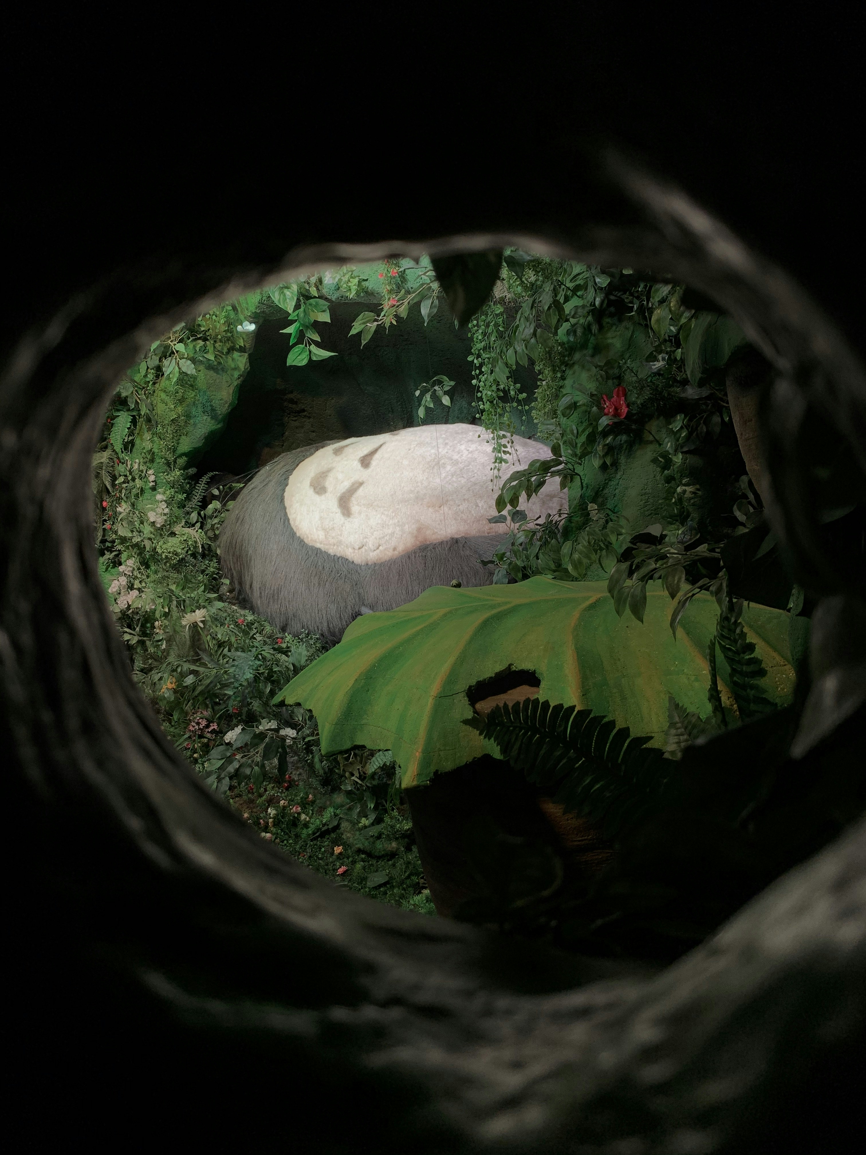 풀밭 위에 누워 있는 꿈의 의미와 꿈풀이 해석