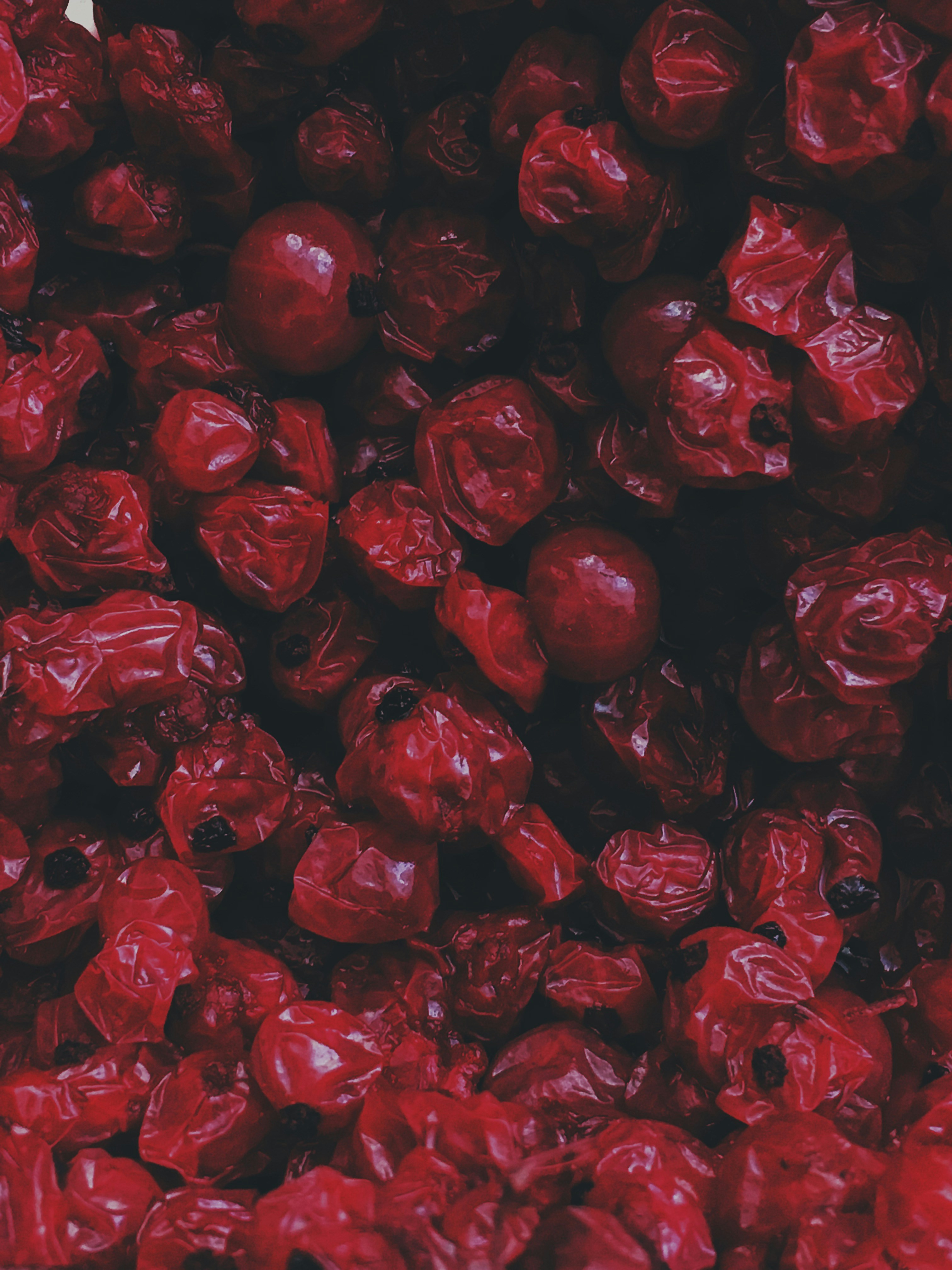 red rose petals in close up photography