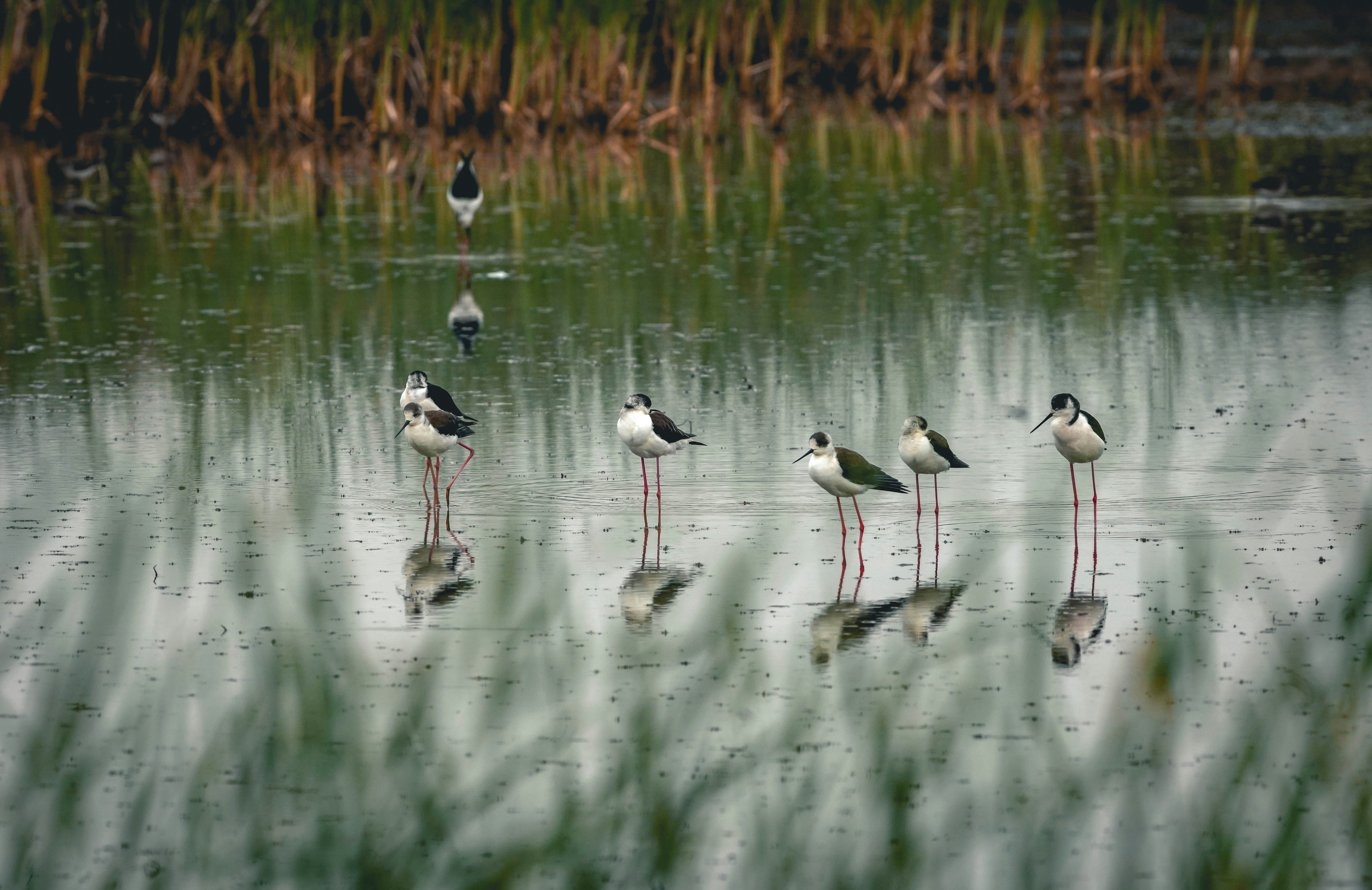 Photo by chuchongju