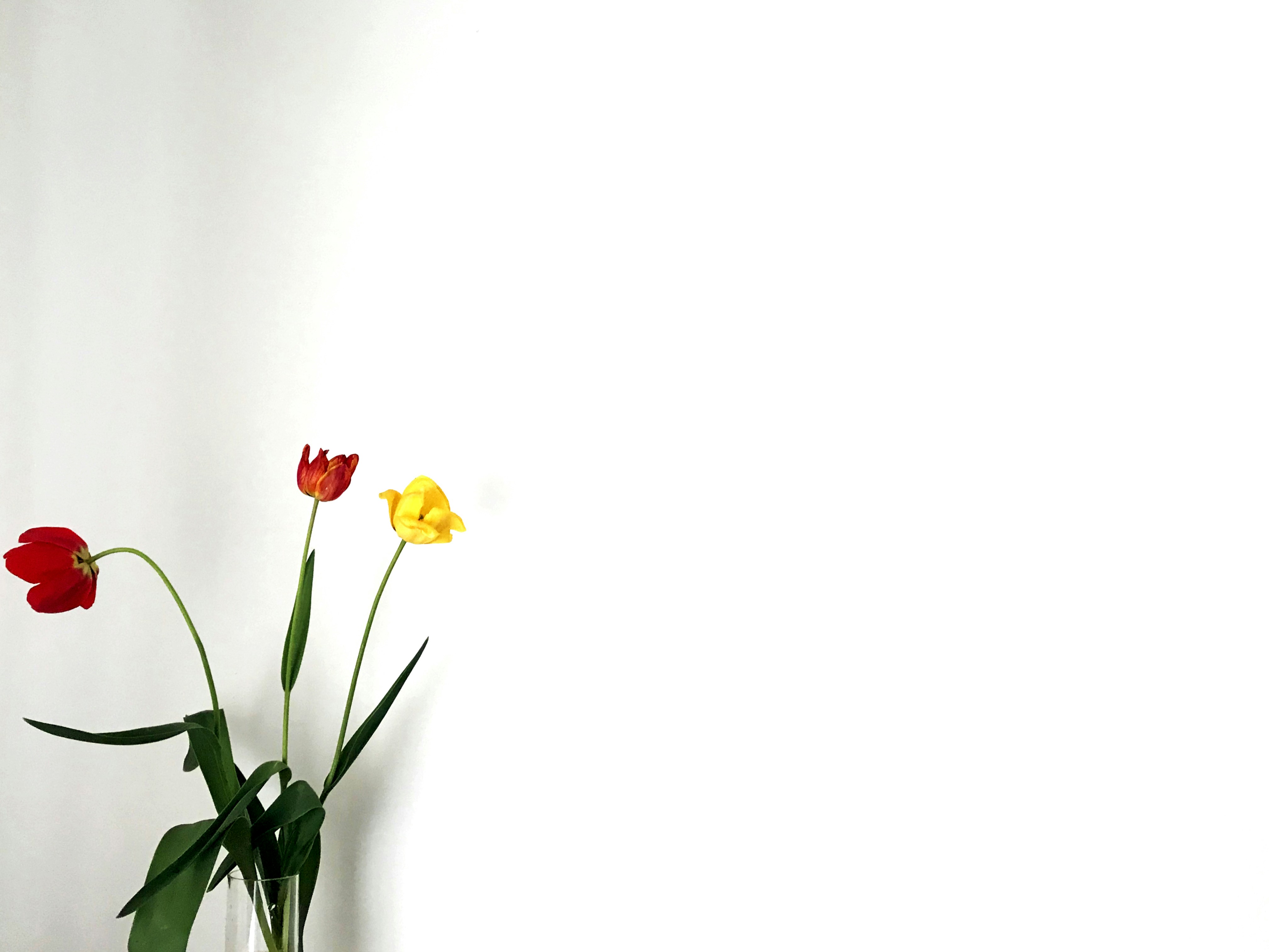 Photo by danijela777