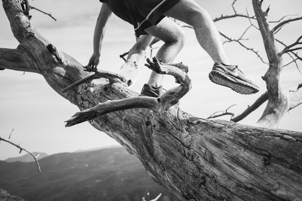 grayscale photo of person climbing on tree