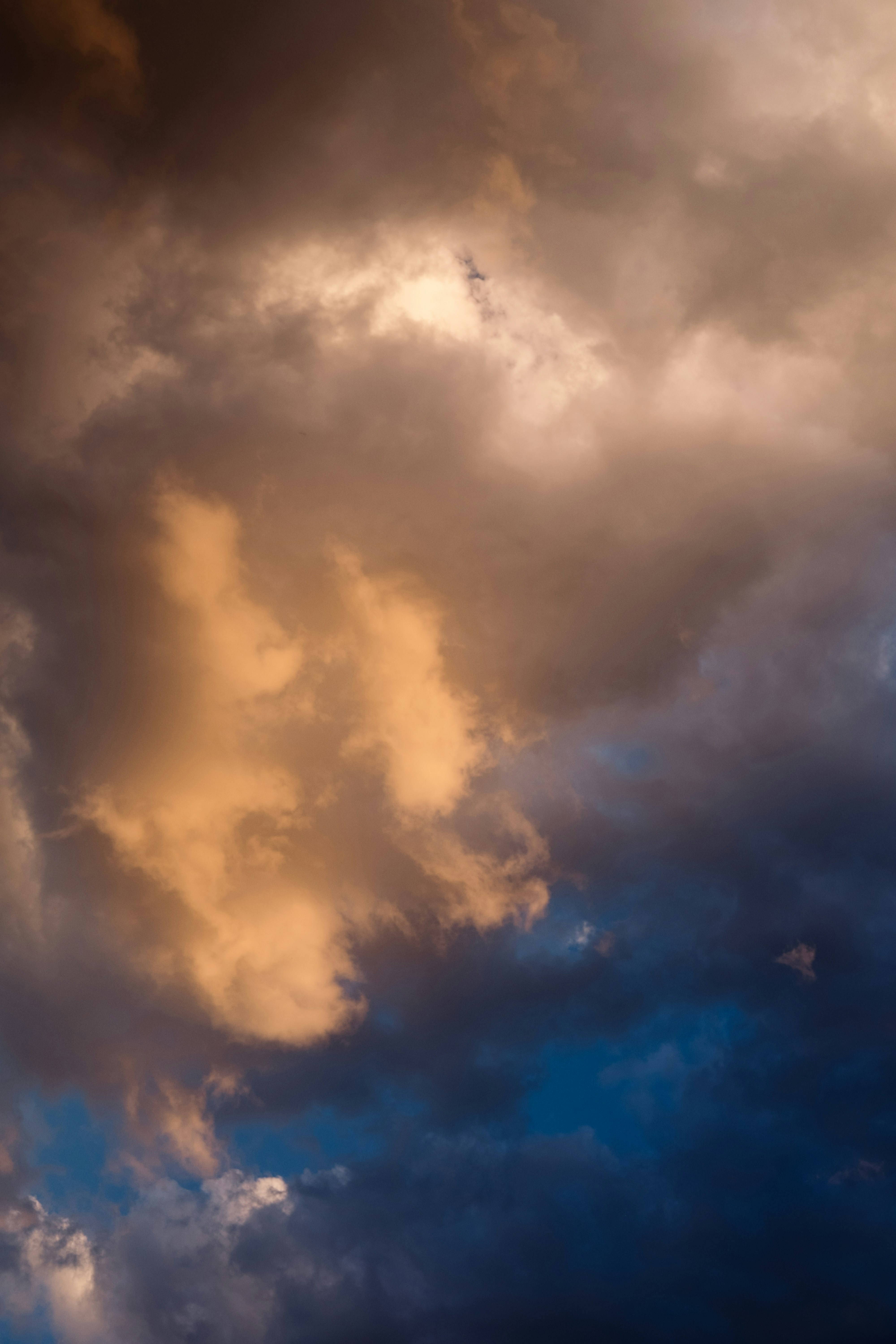 Photo by littlegreeneyes