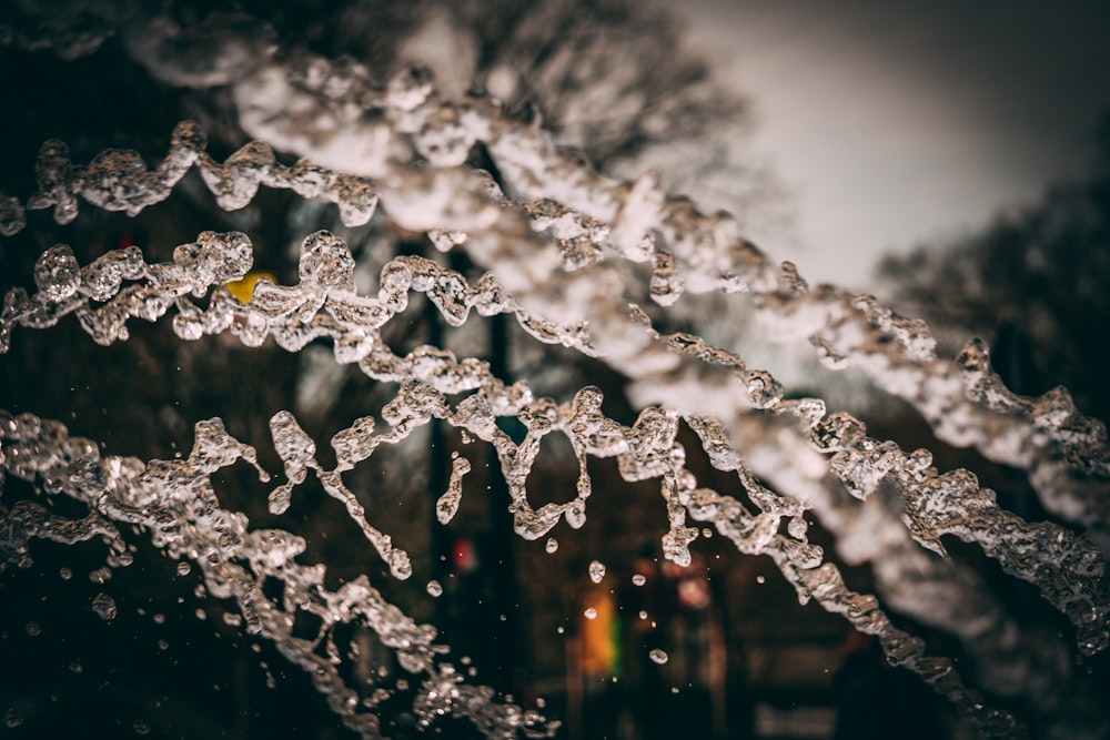 water droplets on glass during night time