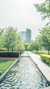 A serene urban park featuring natural water management systems and native plants.