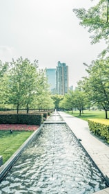 A scenic view of a well-designed urban green space integrating water management features.