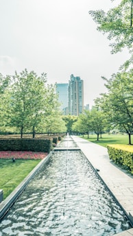 Serene urban park with native plants and water features inviting relaxation.