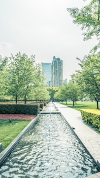 A serene urban park featuring natural water management systems and native plants.