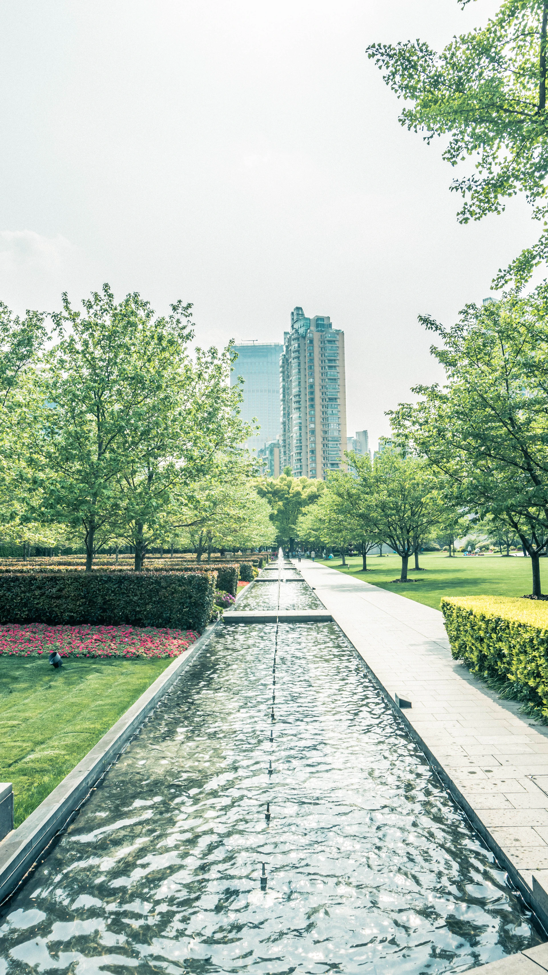 A serene urban park design featuring native plants and sustainable water features, captured in soft morning light.