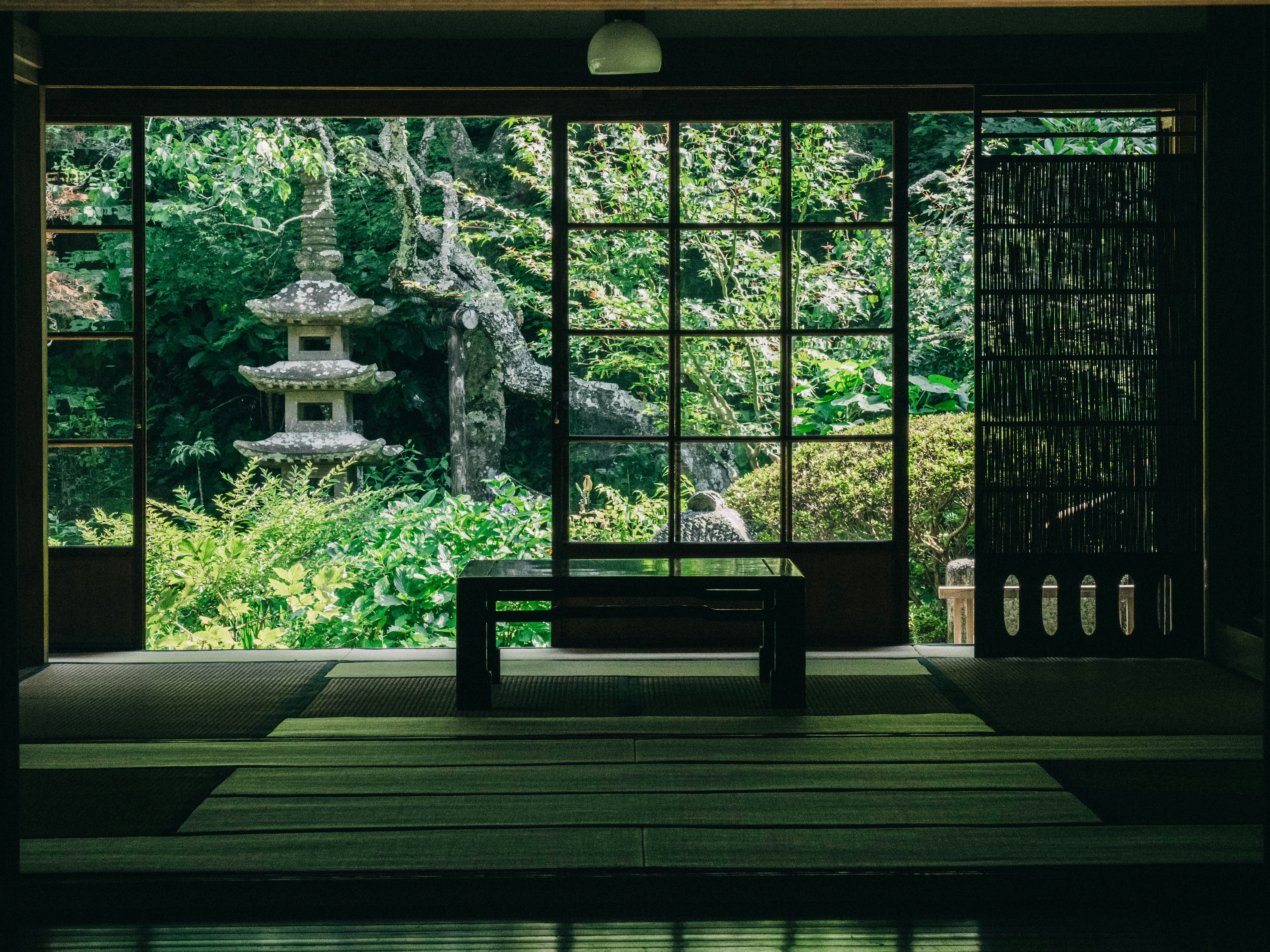 brown wooden bench near green trees during daytime