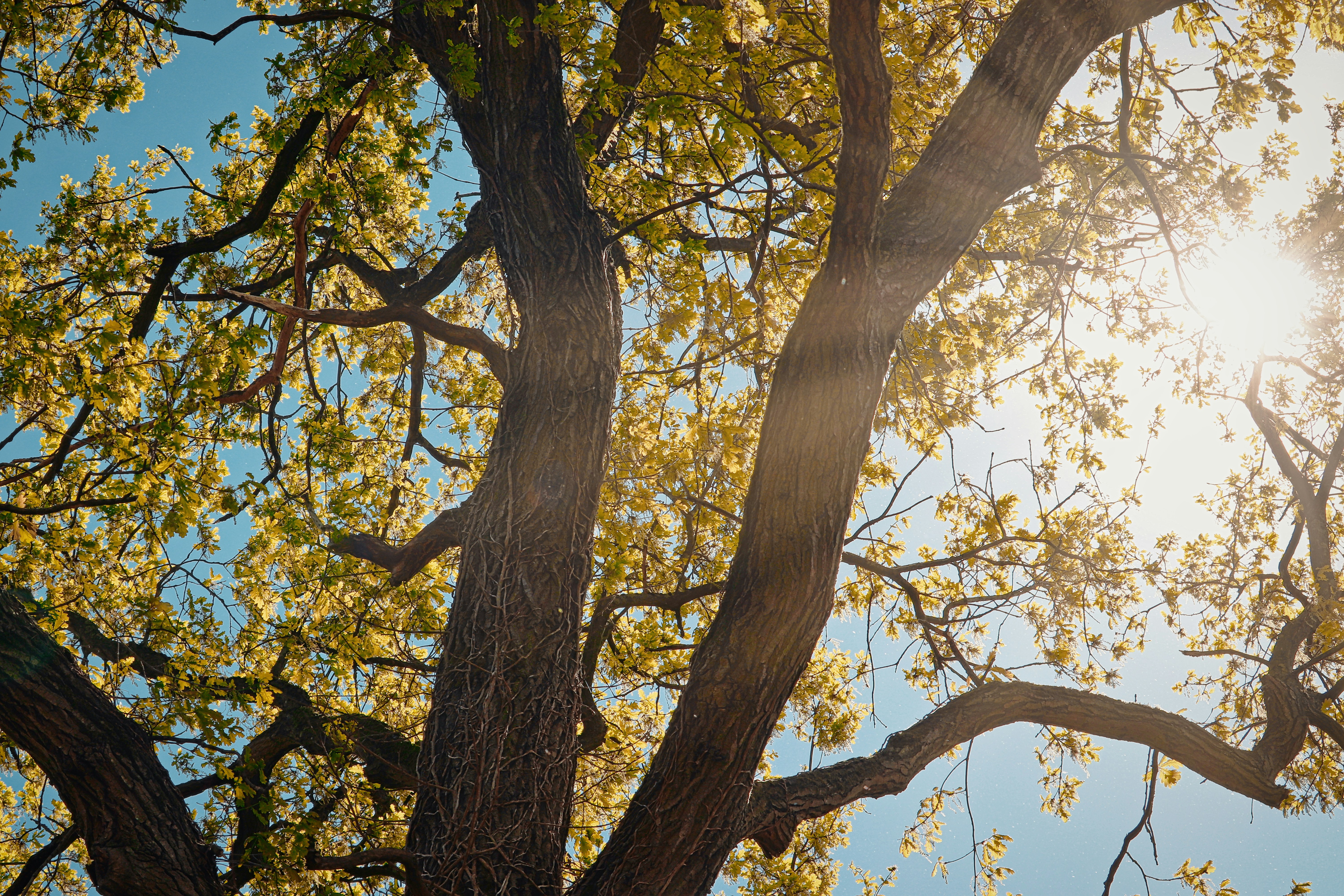 Photo by shottrotter