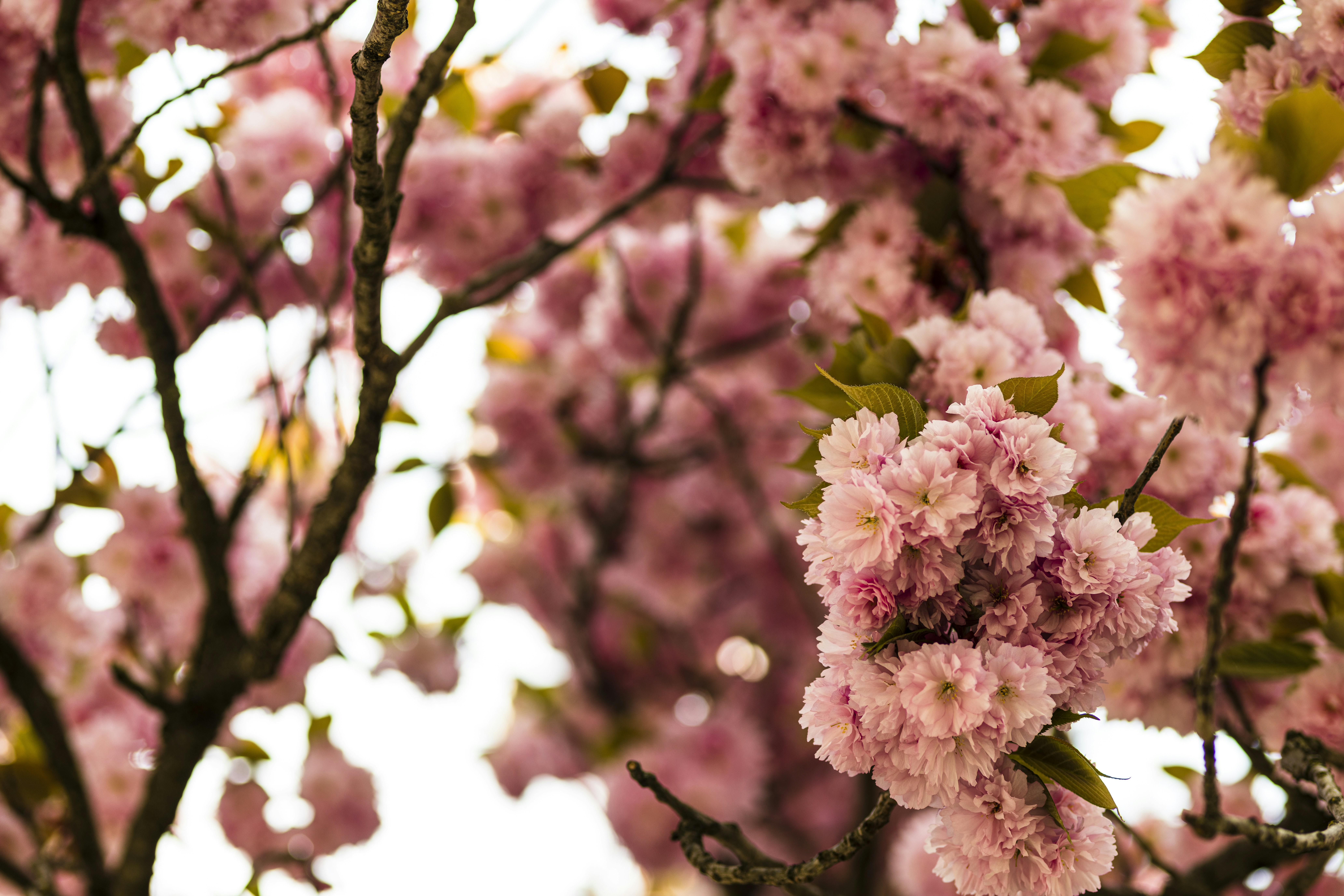 Photo by dieter_muenchen