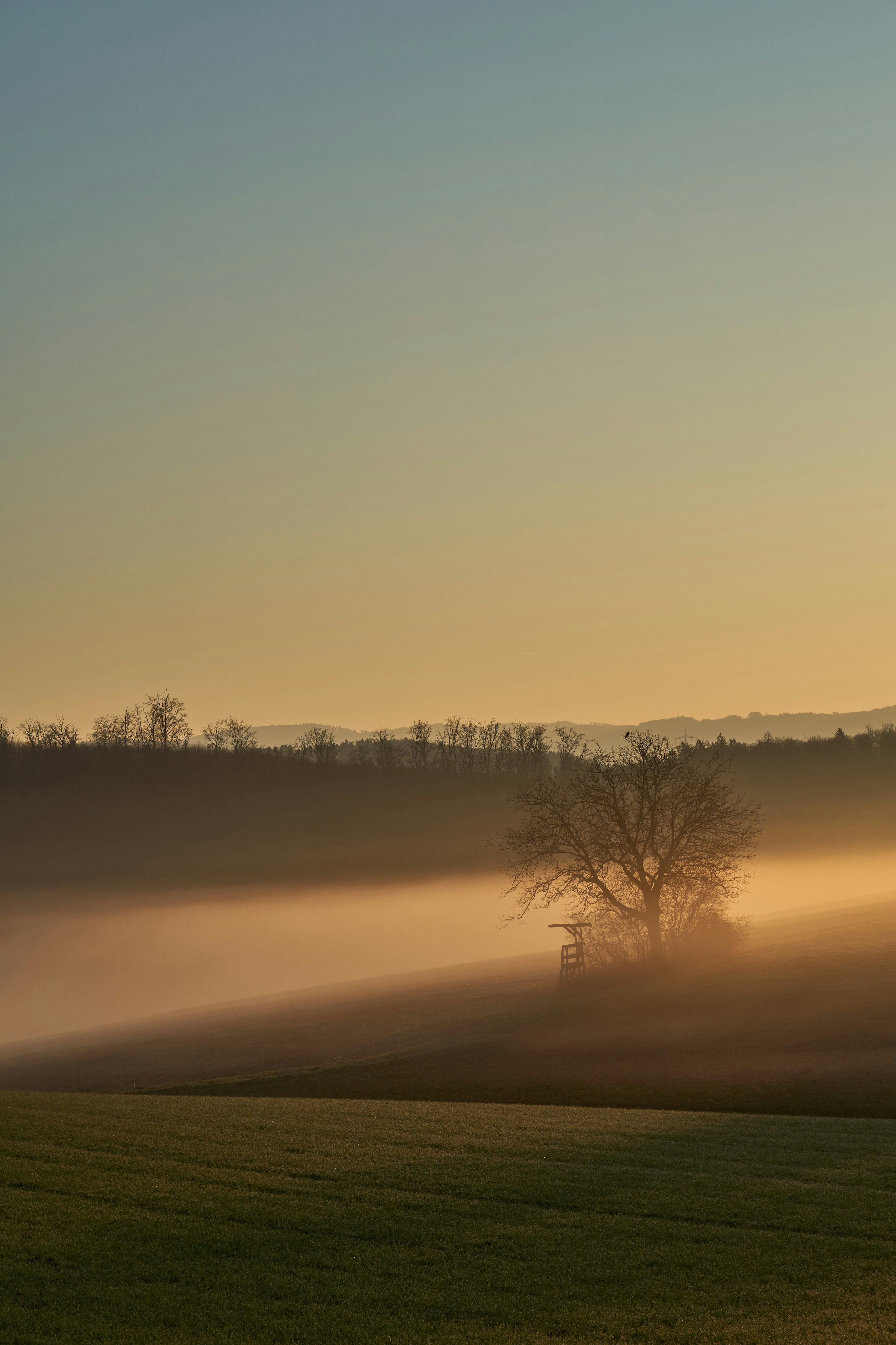 Photo by wolfgang_hasselmann