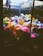A collection of colorful stuffed animals inside a claw machine, including a panda, monkeys, foxes, and various other plush toys. The machine's interior lighting highlights the vibrant hues of the toys, creating a playful and inviting atmosphere.