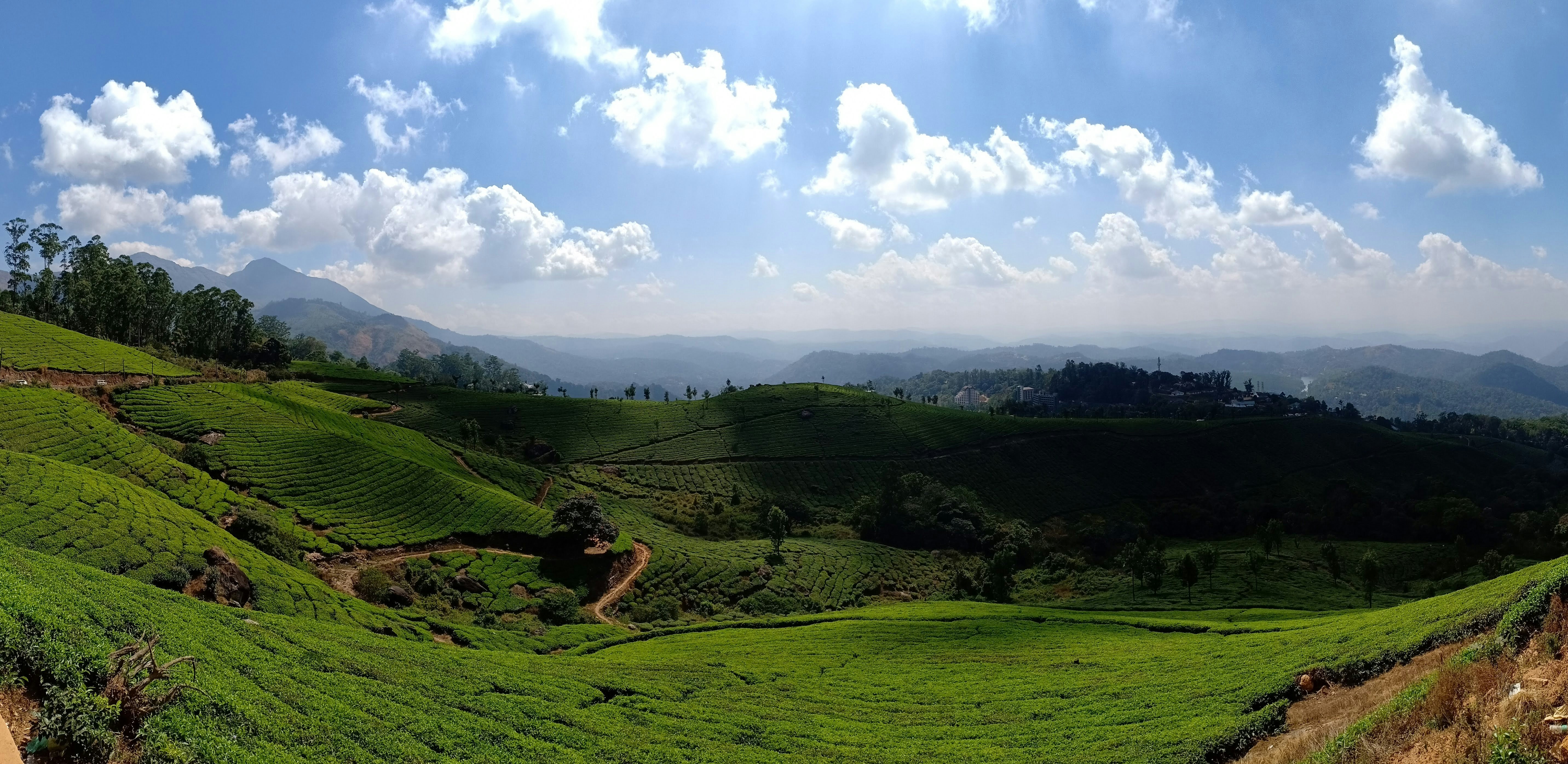 Photo by shirazmuhamed