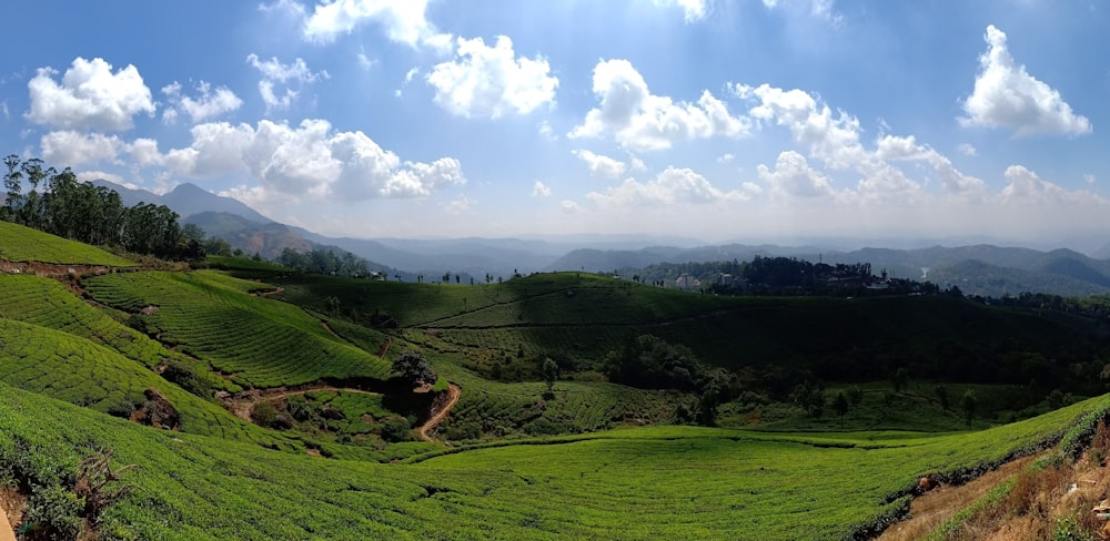 green grass field under blue sky during daytime