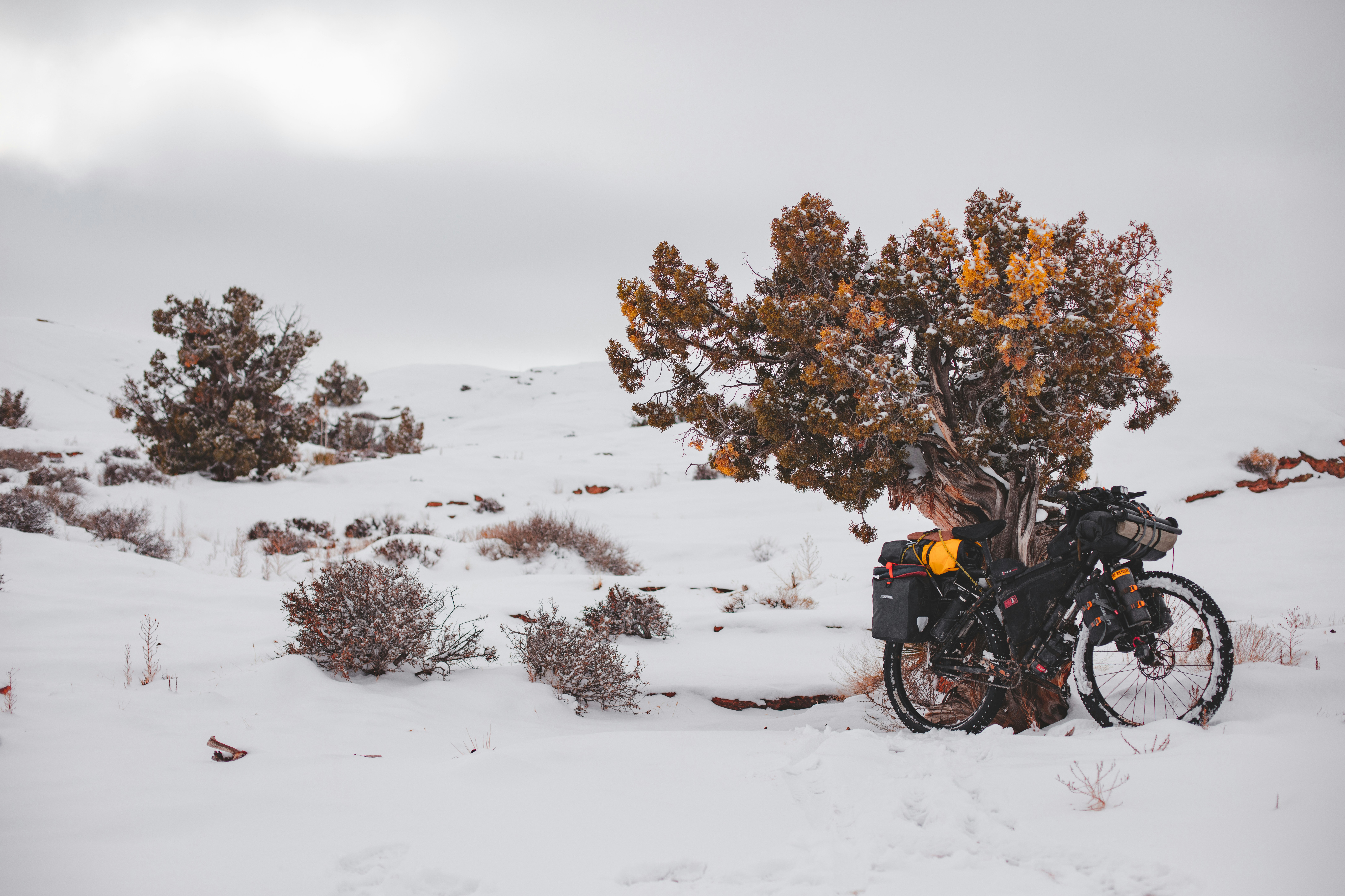 black motorcycle parked on snow covered ground near brown trees during daytime