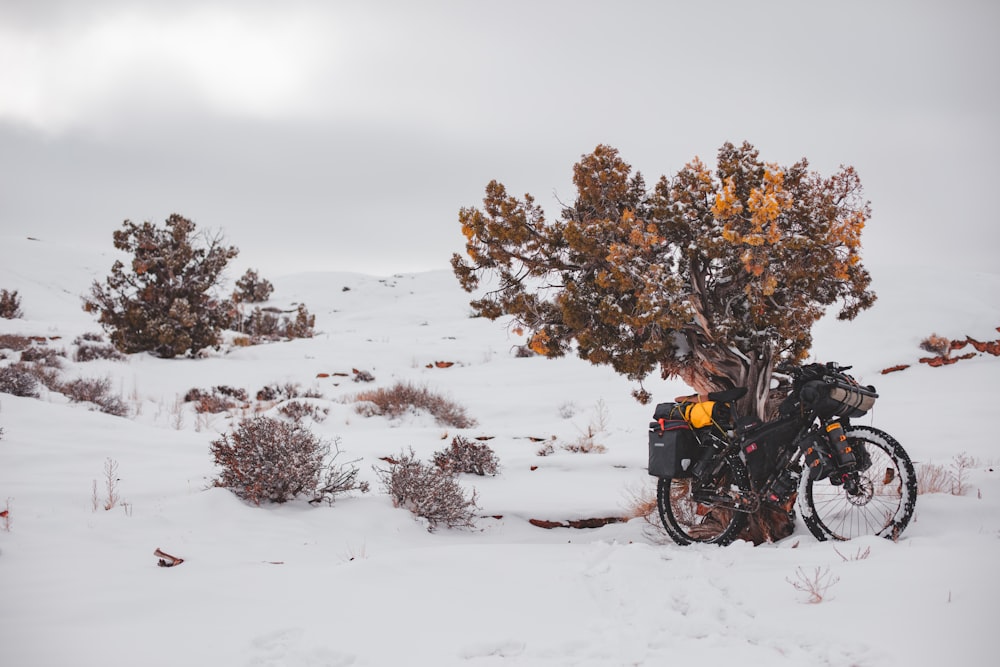 昼間、茶色の木々の近くの雪に覆われた地面に駐車された黒いバイク