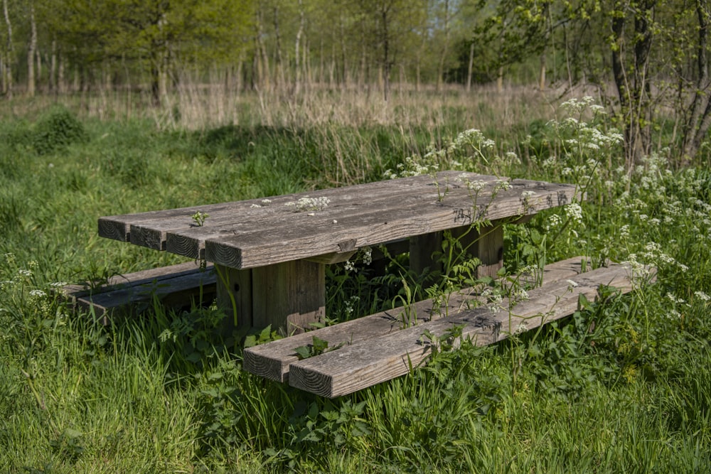 brauner hölzerner Picknicktisch auf grünem Rasen tagsüber