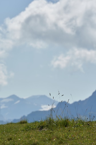 A serene landscape of the Himalayas with lush greenery and majestic mountains.