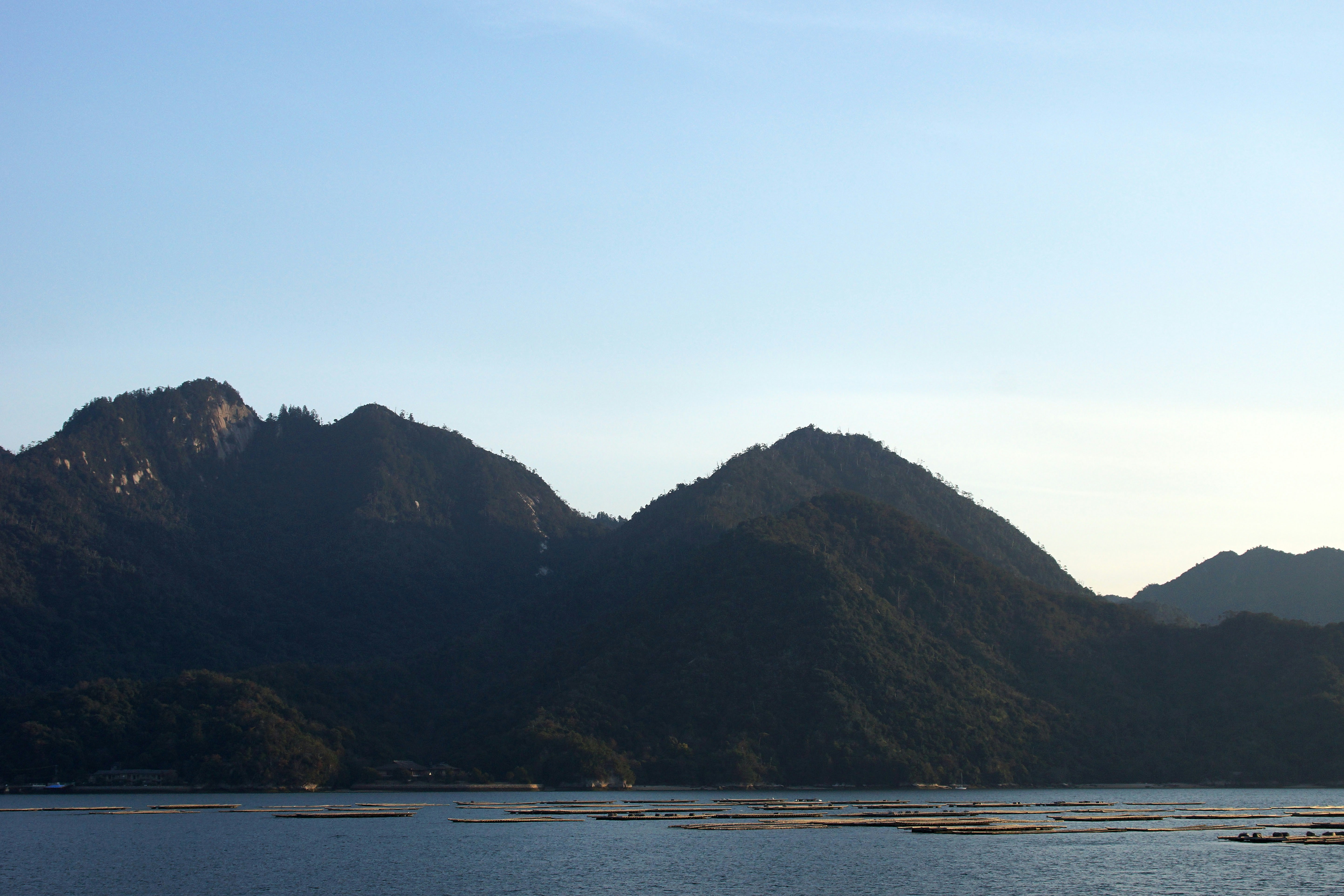 Photo by wolfgang_hasselmann