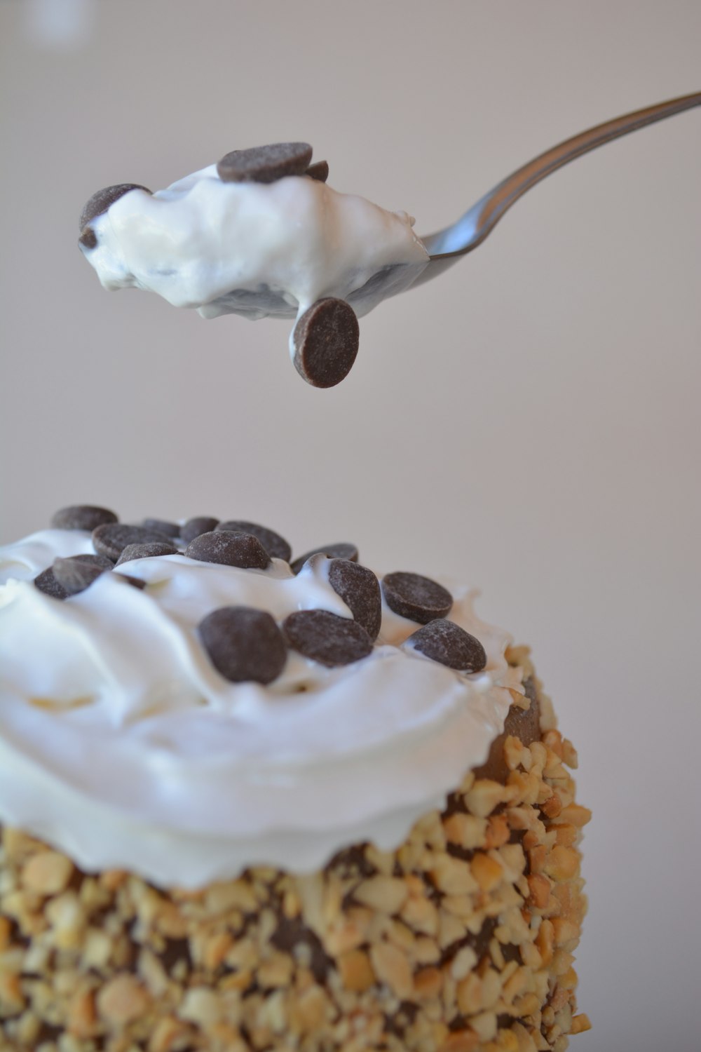 white and brown cake with chocolate and white cream on top