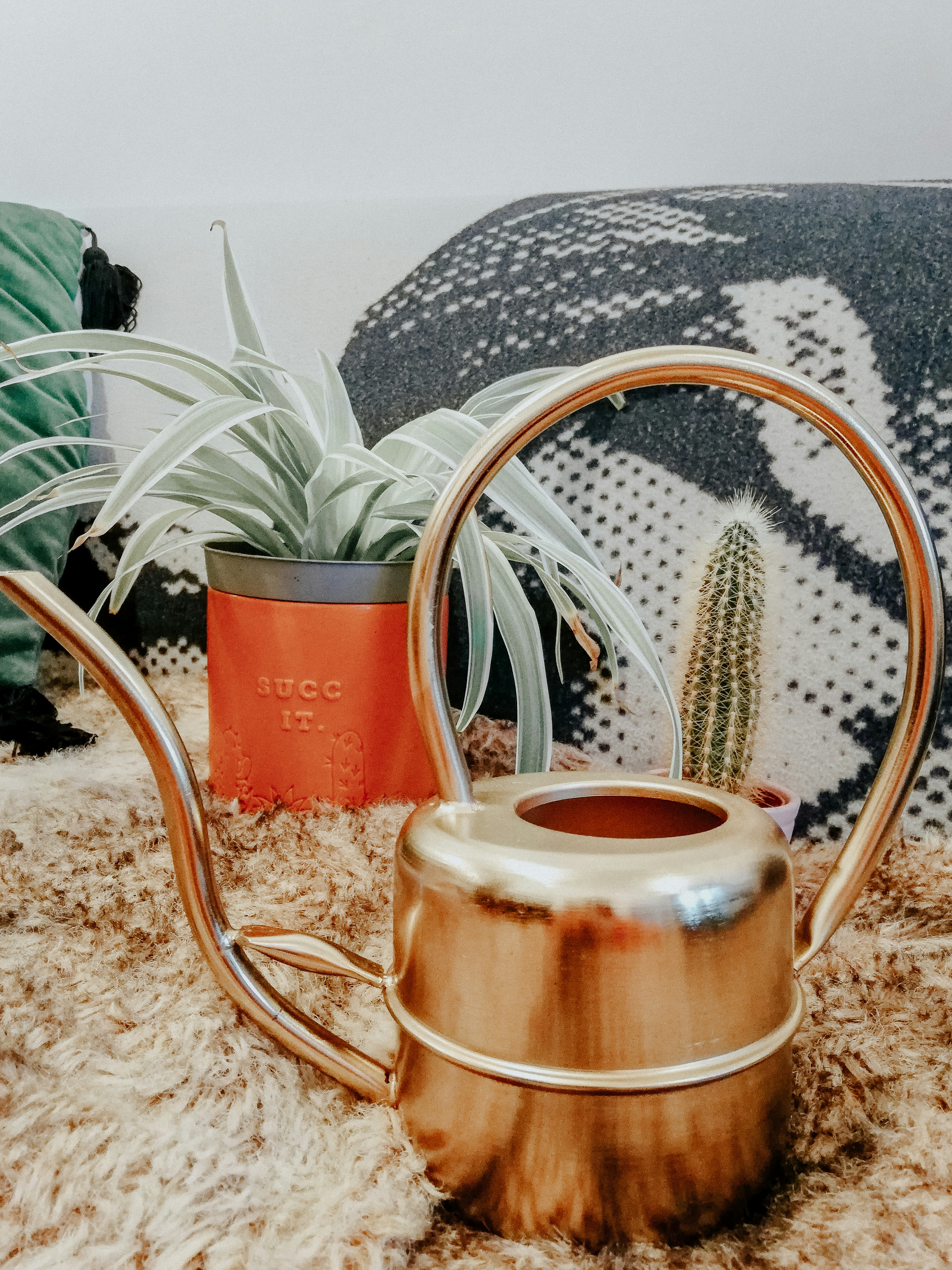 close up of a gold watering can on a couch with a succulent and a cactus in the Background.