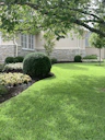 A beautifully landscaped front yard with lush greenery and elegant hardscaping in a Dallas neighborhood.