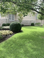 A well-maintained garden with lush green grass, neatly trimmed hedges, and a variety of flowering plants. The backdrop consists of a stone and stucco building facade, with several multi-paned windows. Overhanging tree branches cast dappled shadows across the lawn.