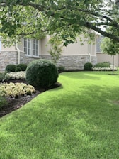 A well-maintained garden with lush green grass, neatly trimmed hedges, and a variety of flowering plants. The backdrop consists of a stone and stucco building facade, with several multi-paned windows. Overhanging tree branches cast dappled shadows across the lawn.