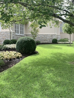 A well-maintained garden with blooming flowers and trimmed bushes.