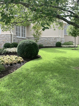 A well-maintained garden with lush green grass, neatly trimmed hedges, and a variety of flowering plants. The backdrop consists of a stone and stucco building facade, with several multi-paned windows. Overhanging tree branches cast dappled shadows across the lawn.