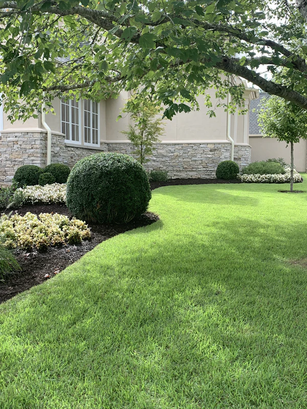 Commercial landscaping
