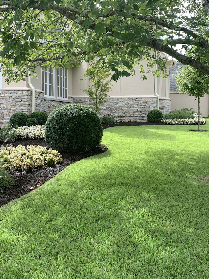 Commercial landscaping Orlando