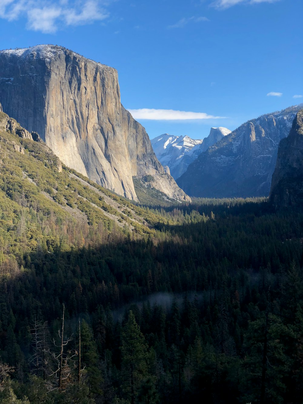 green trees near mountain during daytime