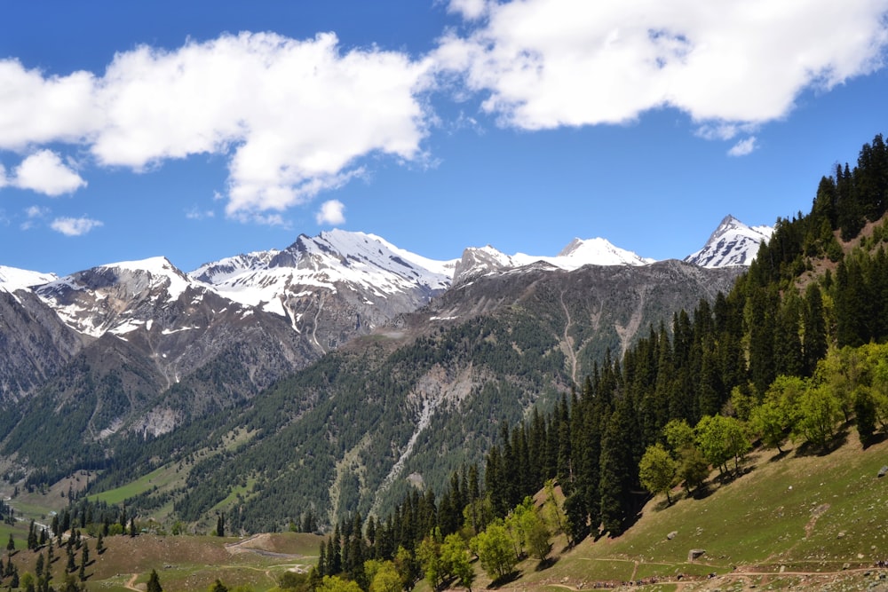 árboles verdes y montaña cubierta de nieve bajo el cielo azul y nubes blancas durante el día