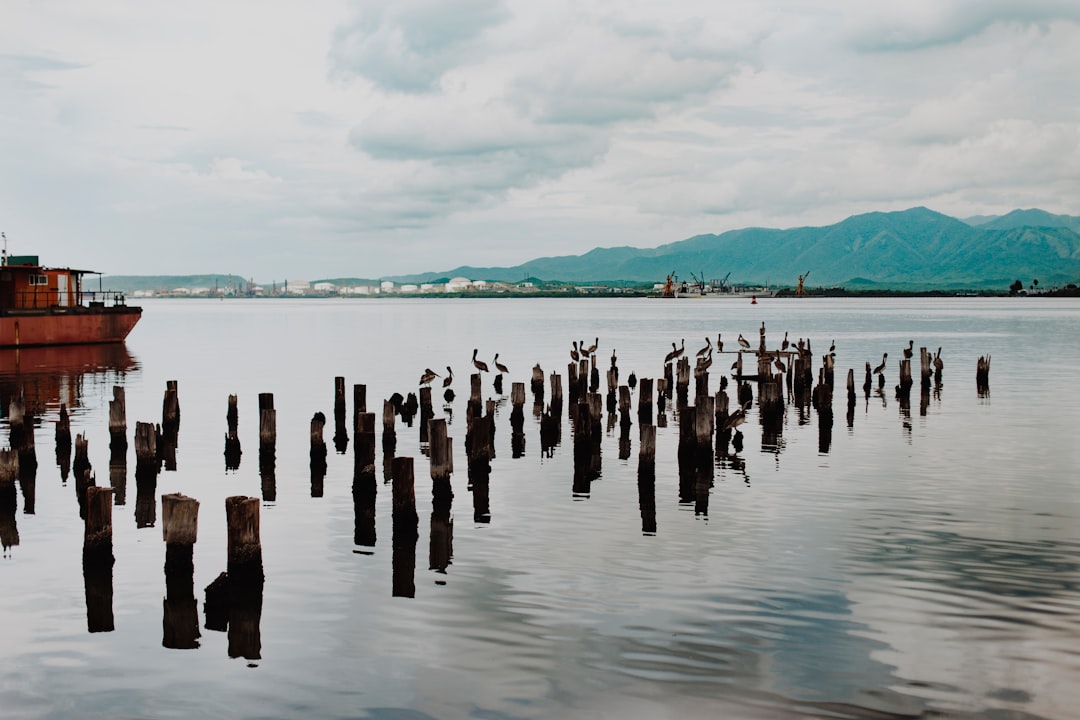 brown wooden poles on body of water during daytime