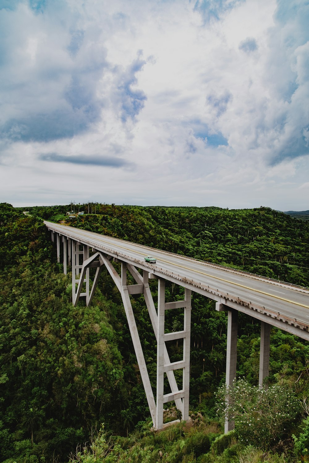 white wooden bridge over green trees under white clouds and blue sky during daytime