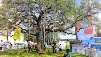 A large tree stands in the foreground with numerous ropes hanging from its branches, where several people are climbing while wearing helmets and harnesses. A group of onlookers, including organizers and participants, gather around the tree. There is a yellow banner with tree climbing information, and a colorful mural is visible on a nearby building. The setting appears to be outdoors in a grassy area enclosed by a white picket fence.