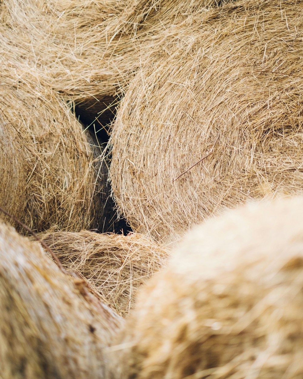 brown hay stack on brown wooden rack