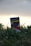 A cigarette package with a health warning text in German, placed upright on the grass. The packaging features graphic imagery related to health consequences and is partially surrounded by blades of grass under a cloudy sky.