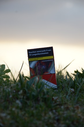 A cigarette package with a health warning text in German, placed upright on the grass. The packaging features graphic imagery related to health consequences and is partially surrounded by blades of grass under a cloudy sky.
