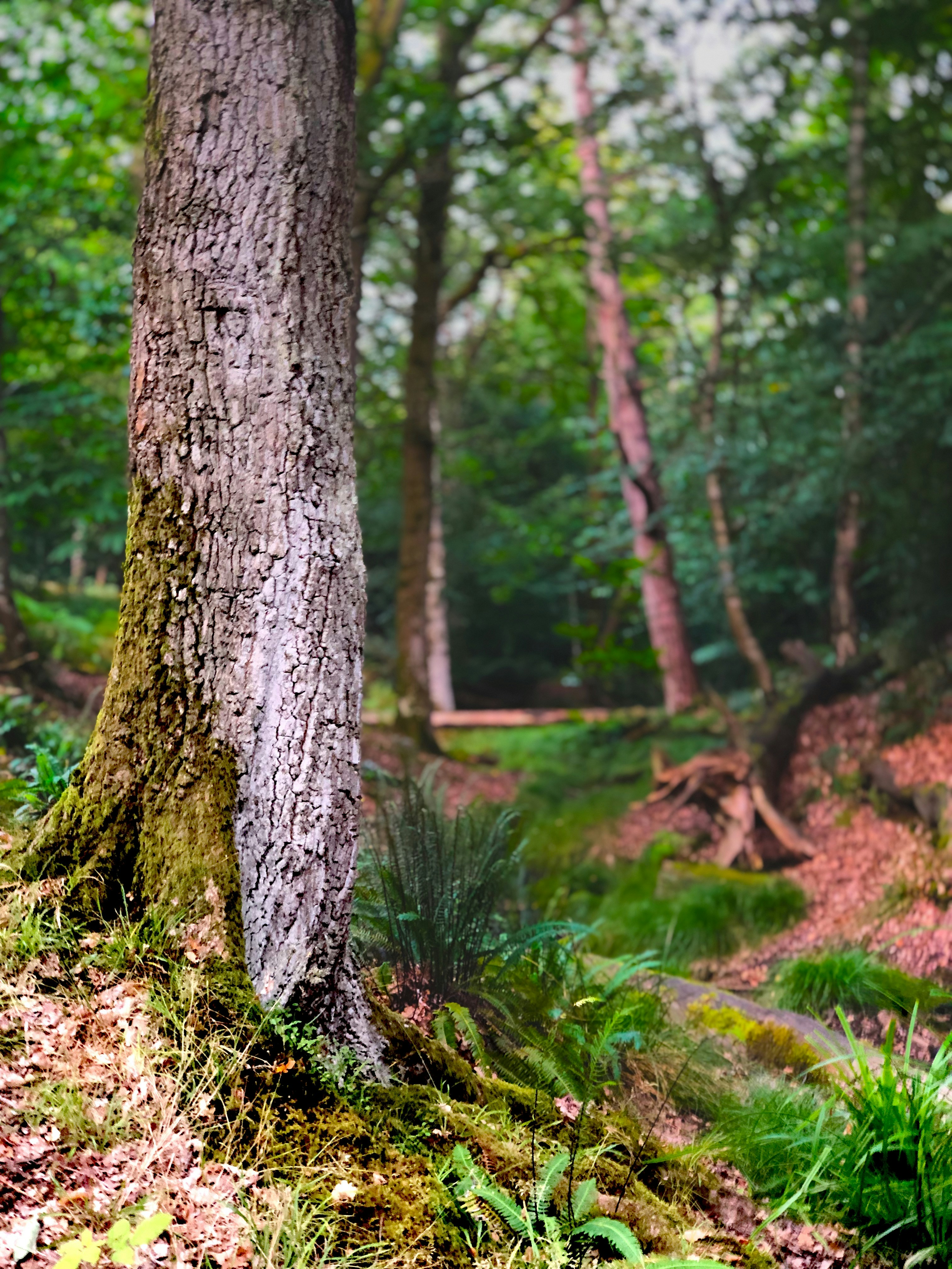 Photo by hadyncutler